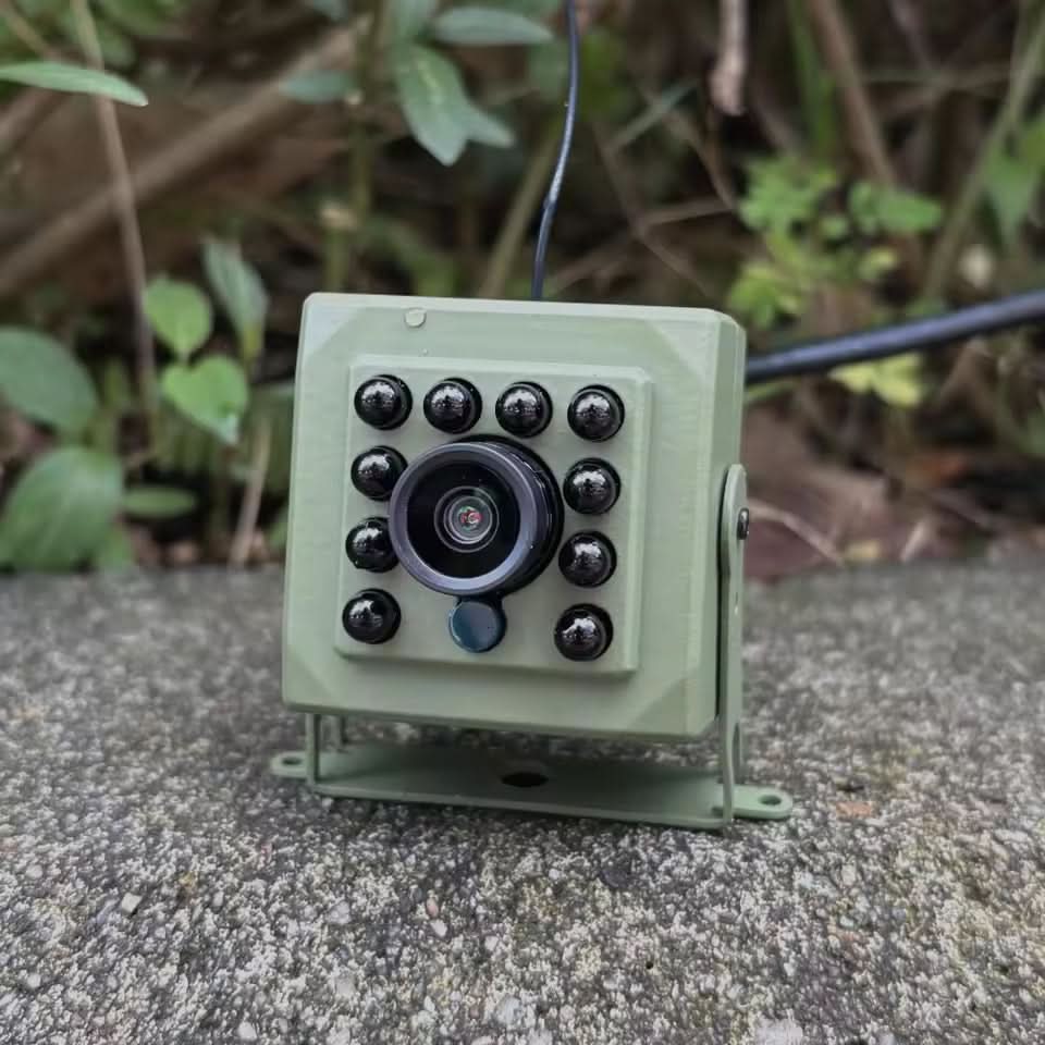 1080p HD Wi-Fi Bird Camera with Motion Sensor for Wildlife Observation