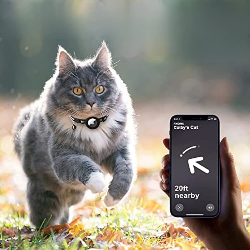 Secure and Visible GPS Collar for Your Adventurous Cat