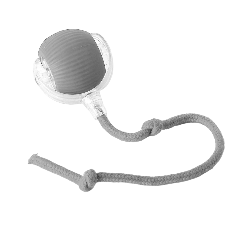 Rechargeable Playful Paws Ball for Dogs