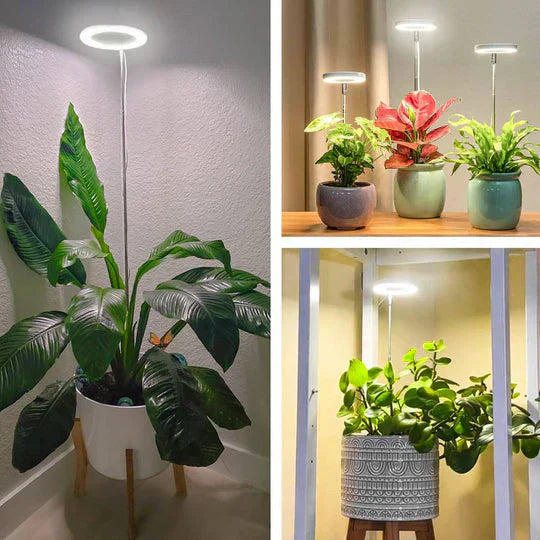 BrightBloom Adjustable LED Plant Light for Thriving Indoor Growth