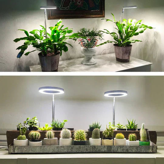 BrightBloom Adjustable LED Plant Light for Thriving Indoor Growth