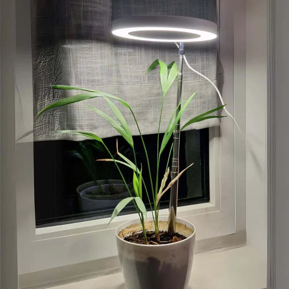 BrightBloom Adjustable LED Plant Light for Thriving Indoor Growth
