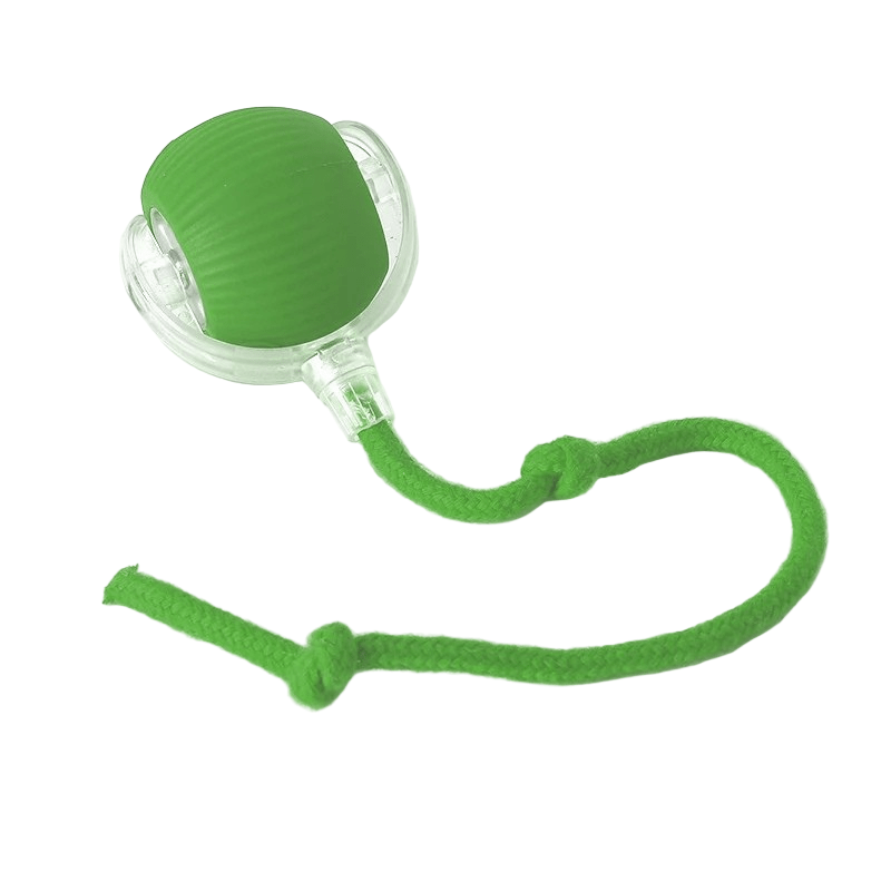 Rechargeable Playful Paws Ball for Dogs
