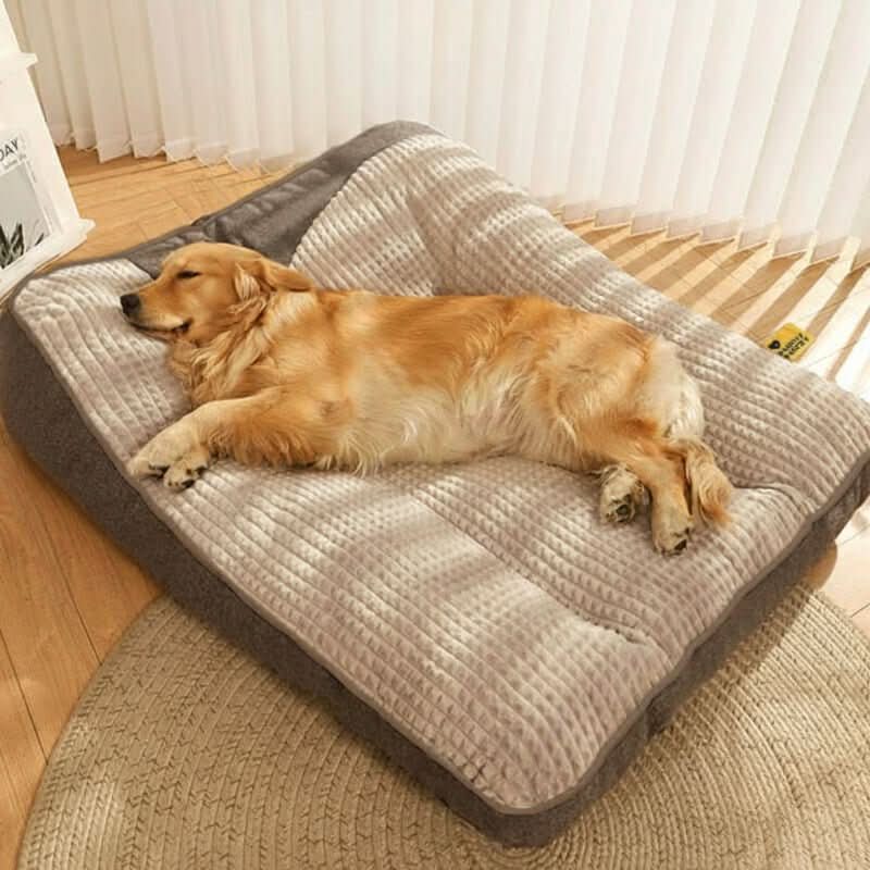 Large Orthopedic Dog Bed for Comfort and Support