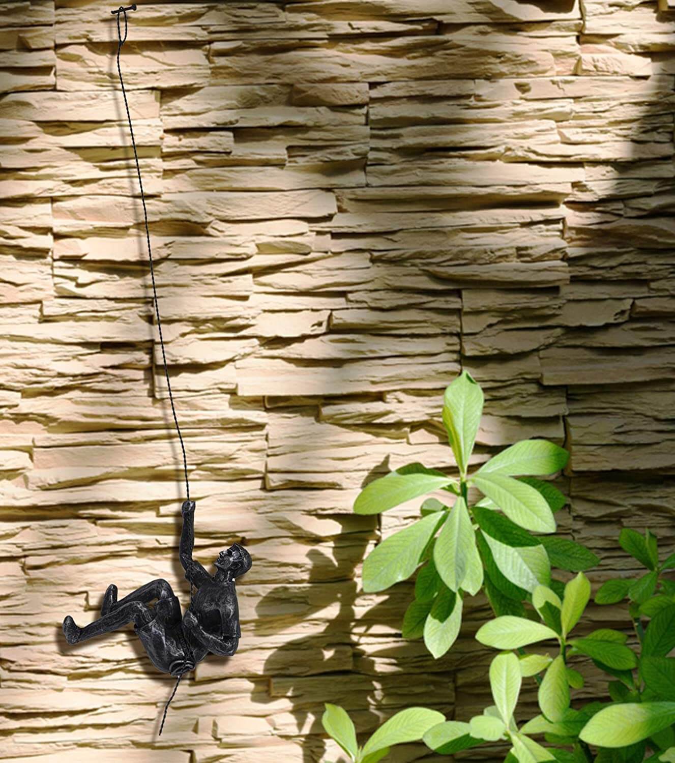 Elevate Your Space with Artful Climbing Wall Décor