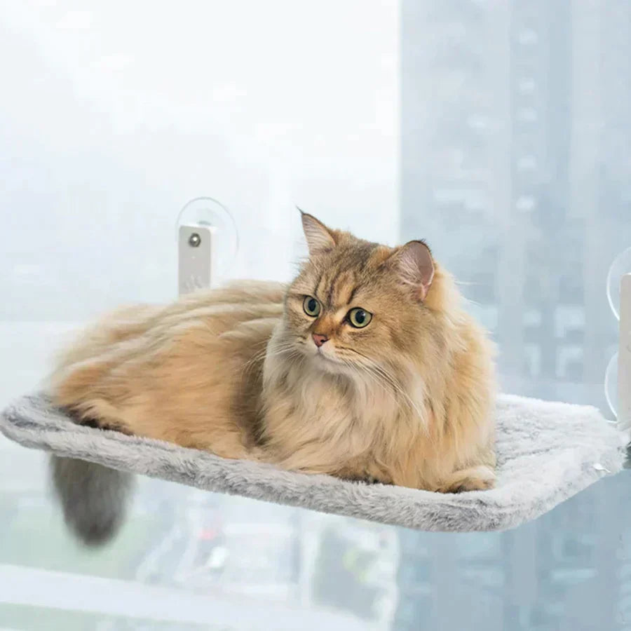 Cat Hammock - Last Day Discount for Happy Cats