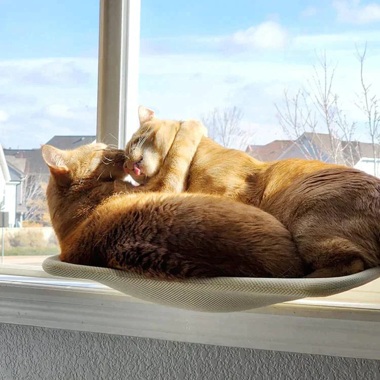 Cat Hammock - Last Day Discount for Happy Cats