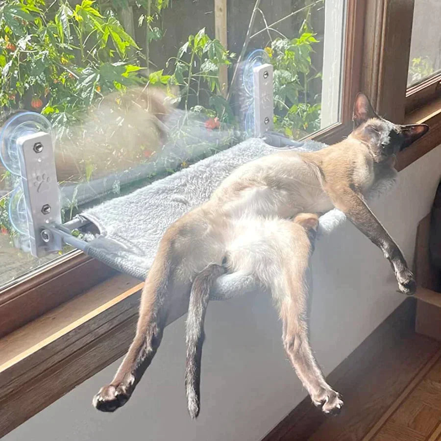 Cat Hammock - Last Day Discount for Happy Cats