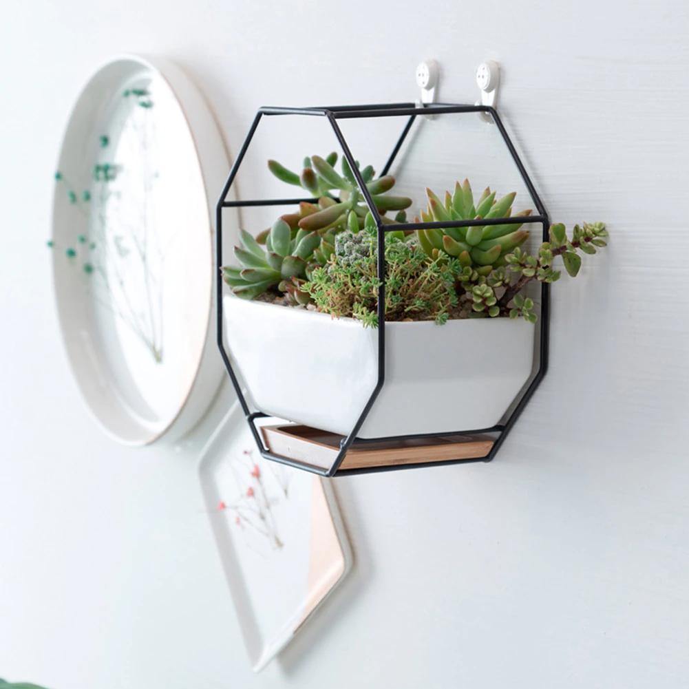 Stylish Indoor Wall Planter with Modern Frame and Tray