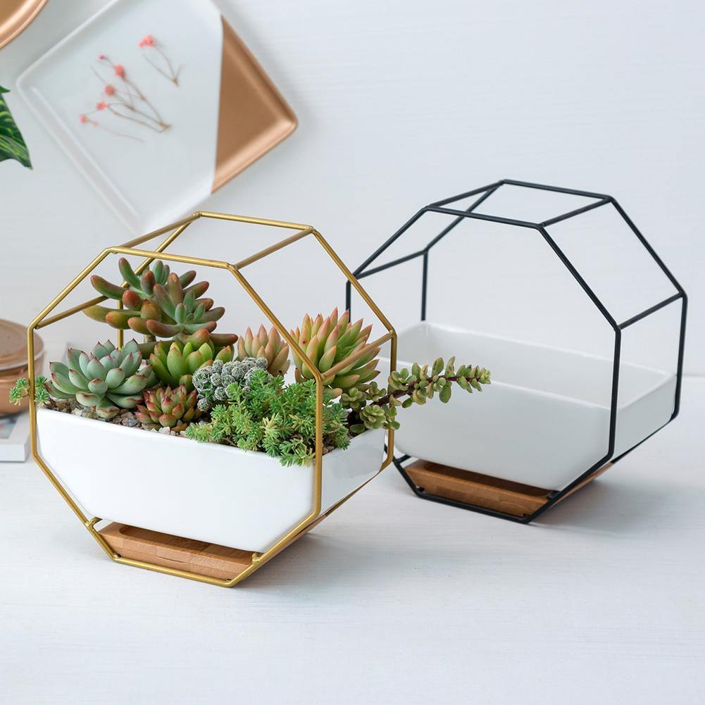Stylish Indoor Wall Planter with Modern Frame and Tray