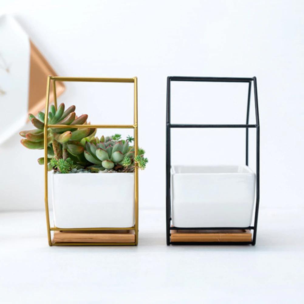 Stylish Indoor Wall Planter with Modern Frame and Tray