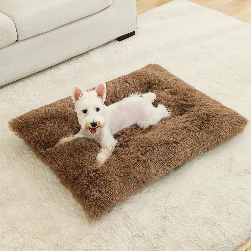 Dog Bed | Soft Rectangular Plush Design | Breathable Cotton Cover