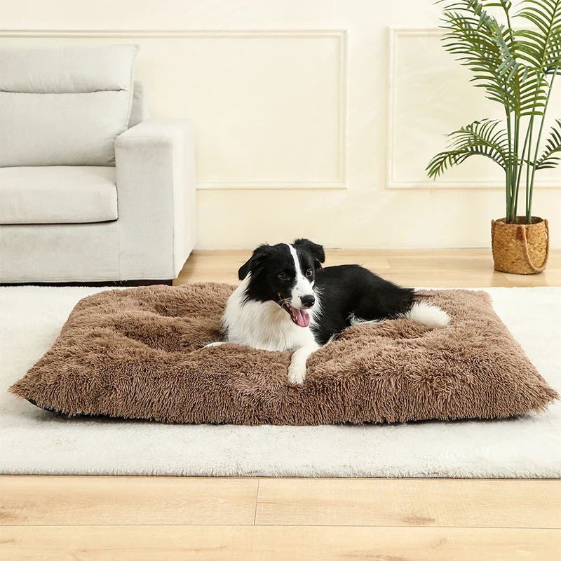 Dog Bed | Soft Rectangular Plush Design | Breathable Cotton Cover