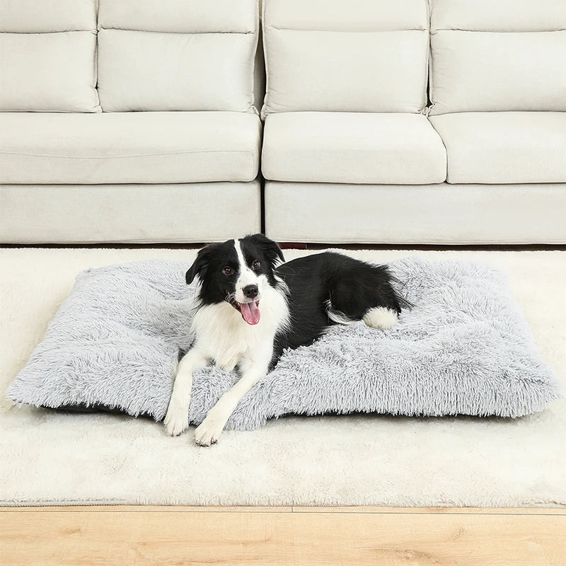 Dog Bed | Soft Rectangular Plush Design | Breathable Cotton Cover