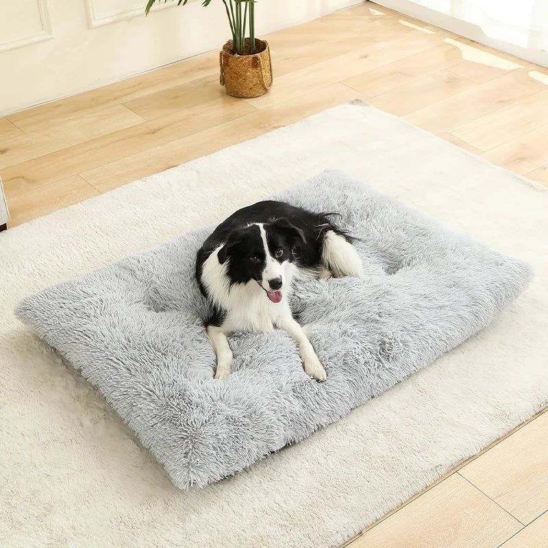 Dog Bed | Soft Rectangular Plush Design | Breathable Cotton Cover