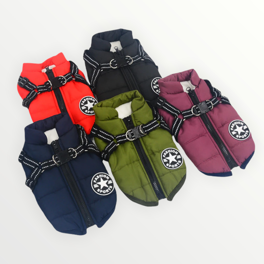 Dog Jacket | Water- & Wind-Resistant | Built-in Harness