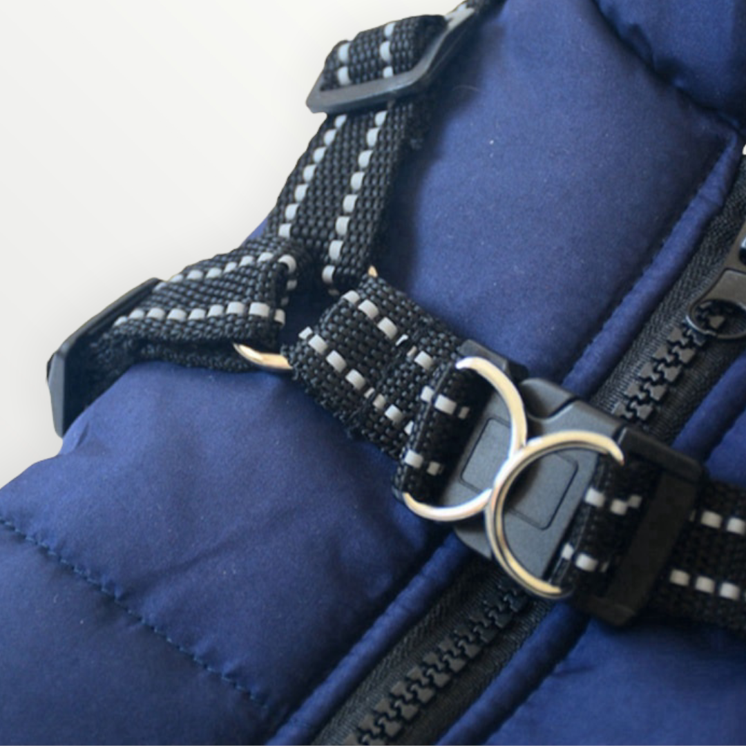 Dog Jacket | Water- & Wind-Resistant | Built-in Harness