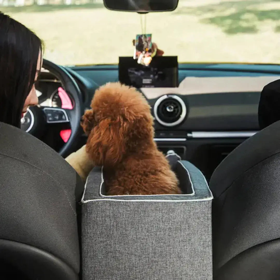 Elevated Dog Car Seat with Secure Straps for Safety