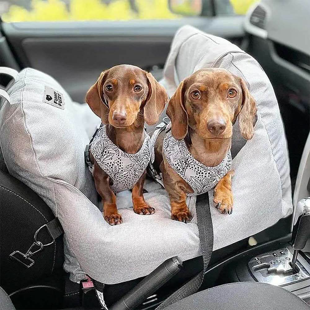 Pet Travel Bed with Secure Harness & Anti-Slip Base for Cozy Journeys