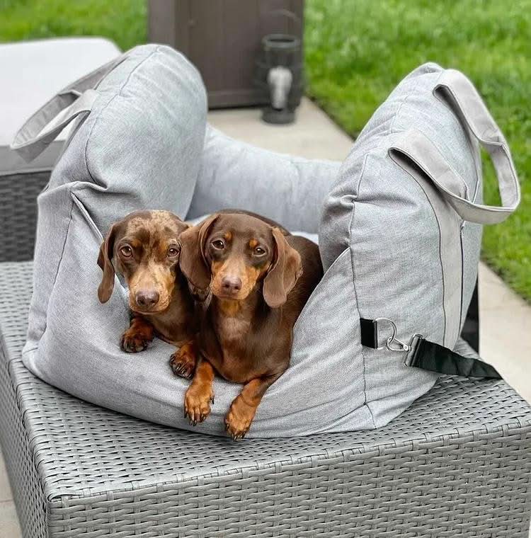 Pet Travel Bed with Secure Harness & Anti-Slip Base for Cozy Journeys