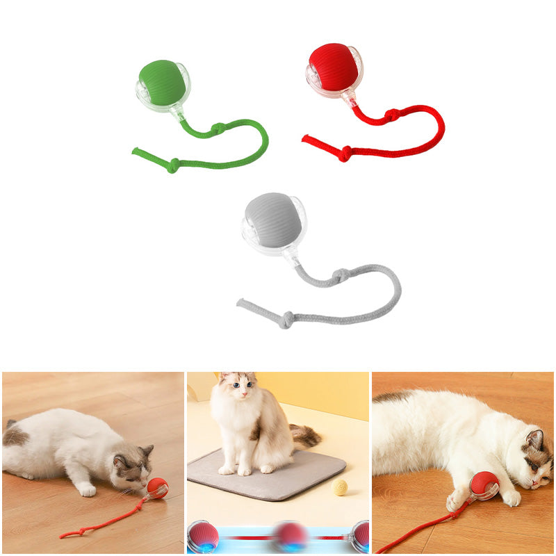 FelineFun - Interactive Motion Ball for Cats with Durable Build