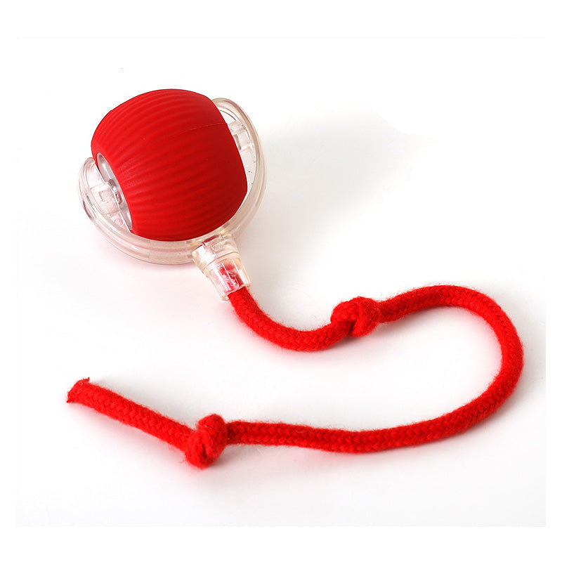 FelineFun - Interactive Motion Ball for Cats with Durable Build