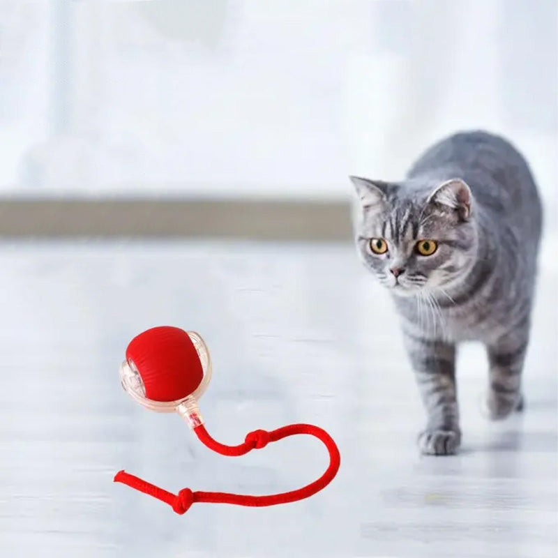 FelineFun - Interactive Motion Ball for Cats with Durable Build