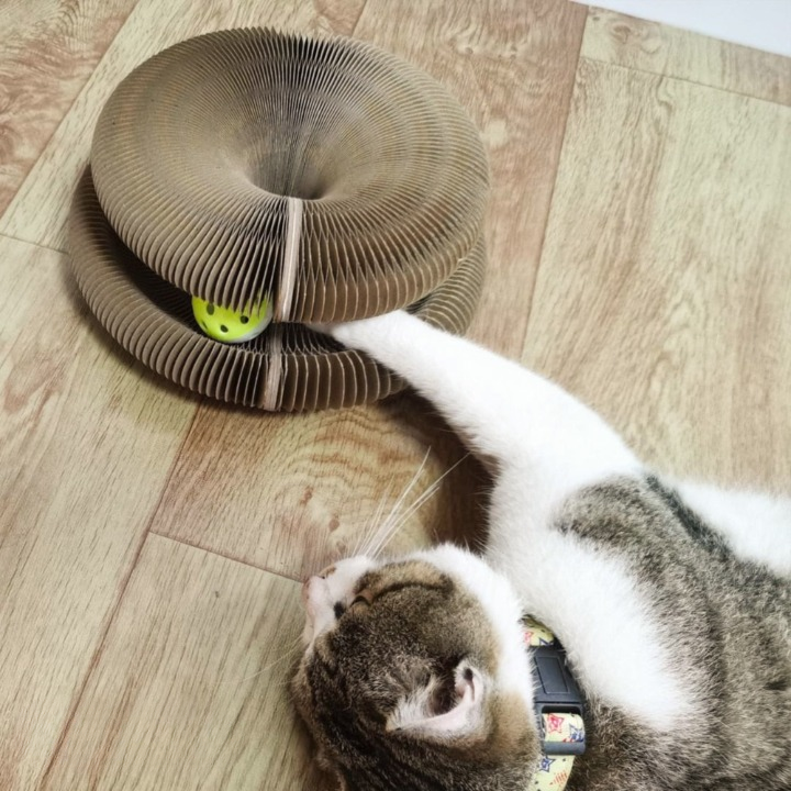 Cute Cat Toy for Playful Kittens