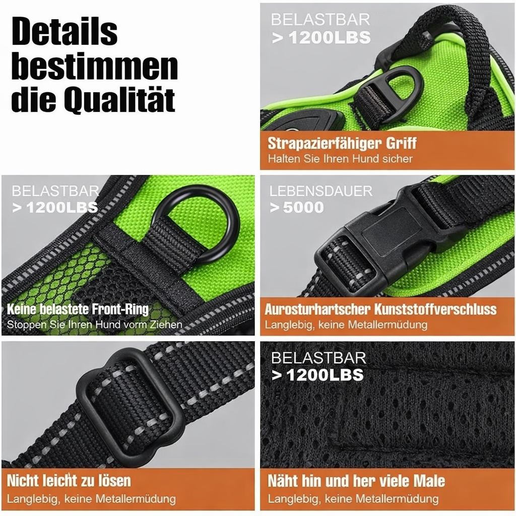 Adjustable No-Pull LED Dog Harness | Durable Oxford Fabric