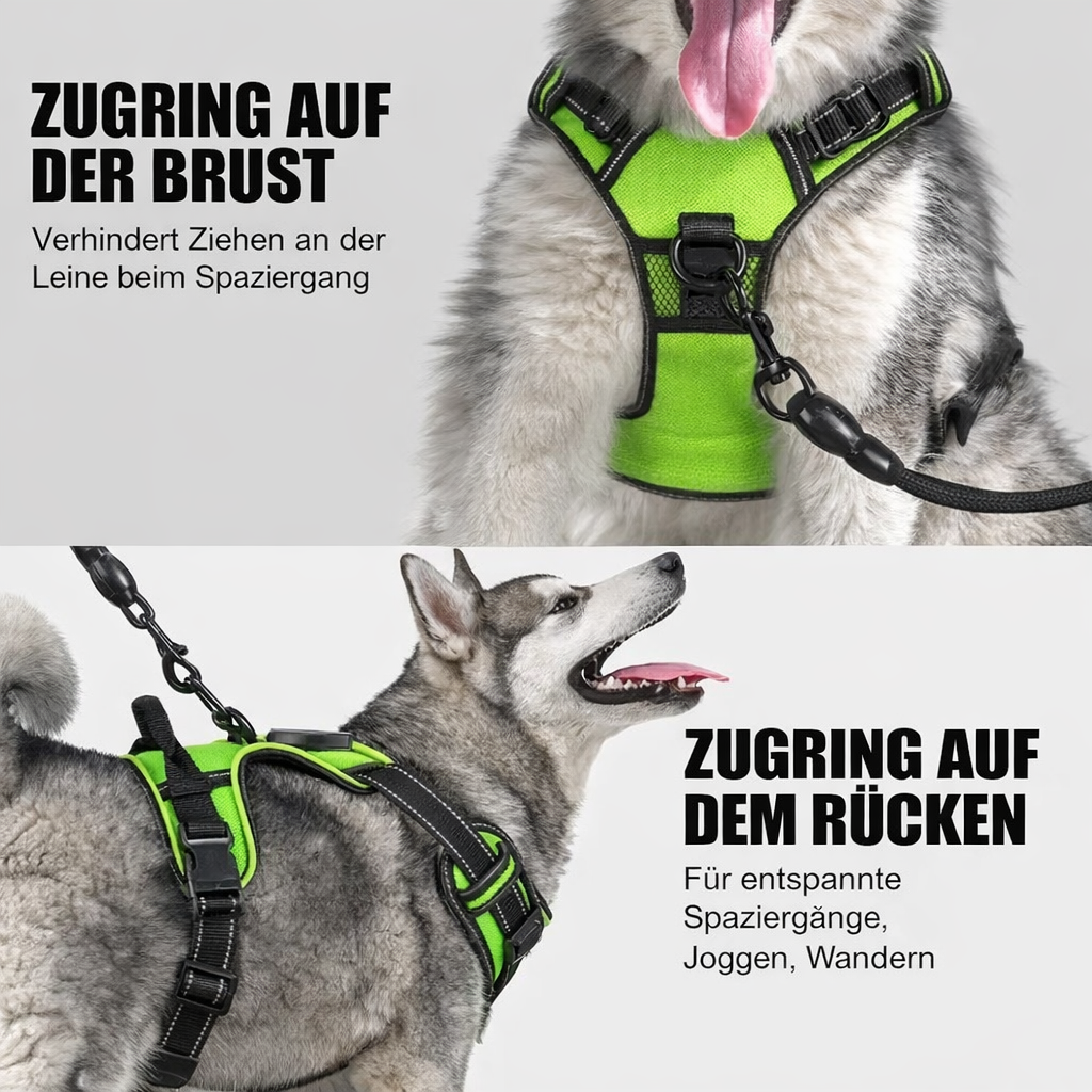 Adjustable No-Pull LED Dog Harness | Durable Oxford Fabric