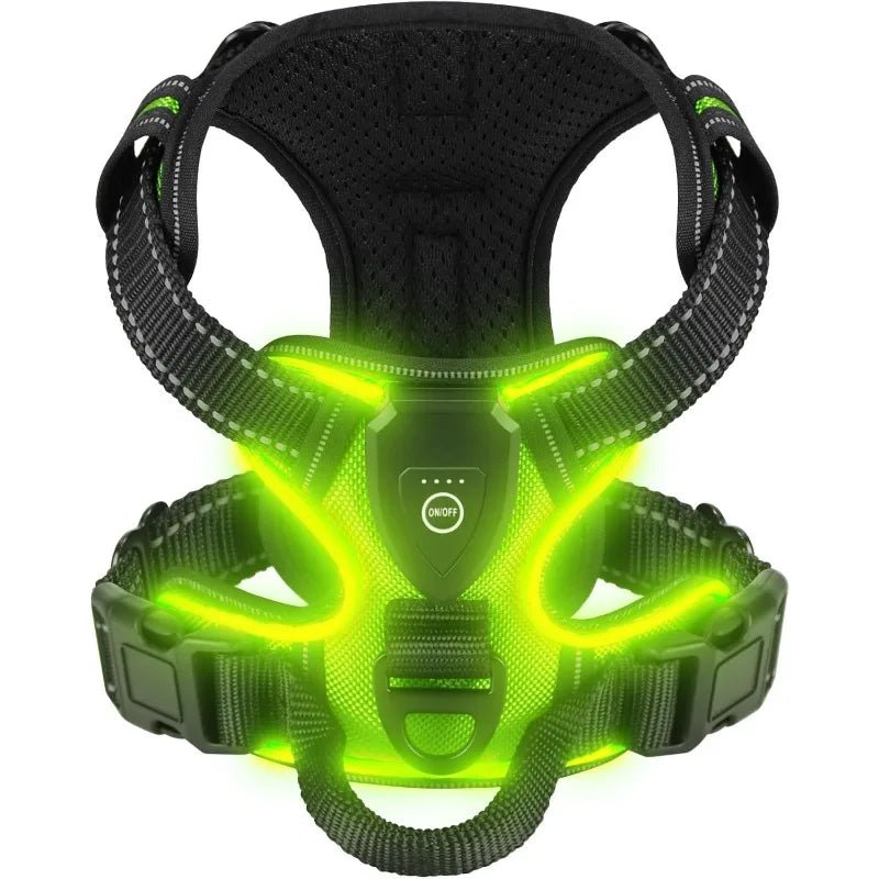 Adjustable No-Pull LED Dog Harness | Durable Oxford Fabric