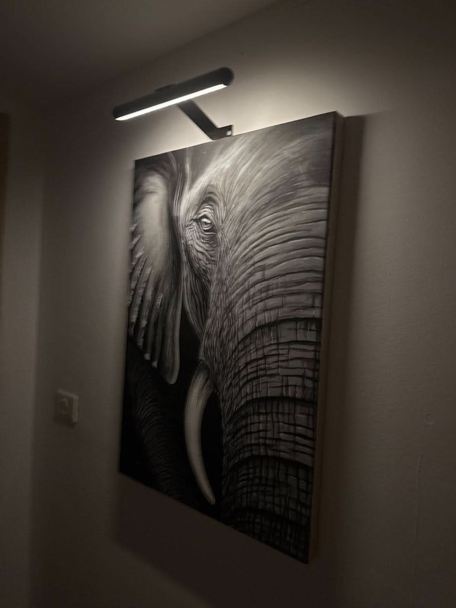 Dimmable LED Wall Light | Rechargeable Metal Design | Decorative Lighting