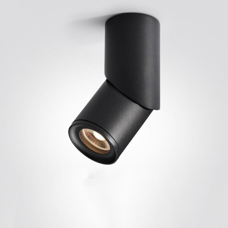 Adjustable LED Ceiling Light with Dimming Feature
