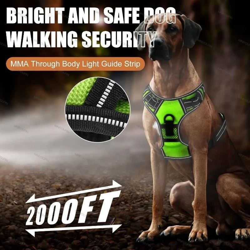 Illuminated Dog Harness for Safe Nighttime Adventures