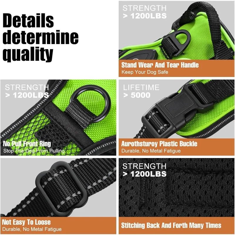 Illuminated Dog Harness for Safe Nighttime Adventures