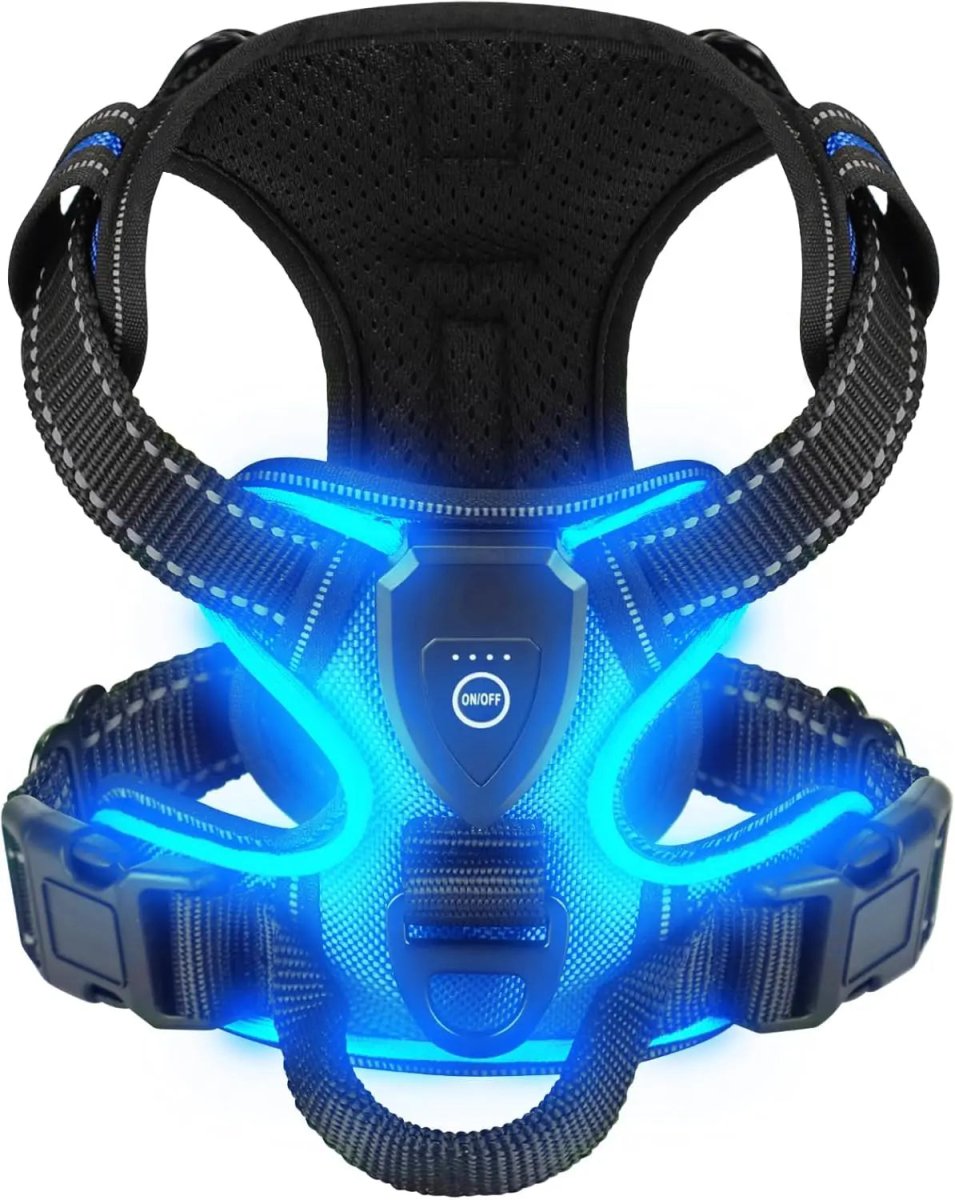 Illuminated Dog Harness for Safe Nighttime Adventures