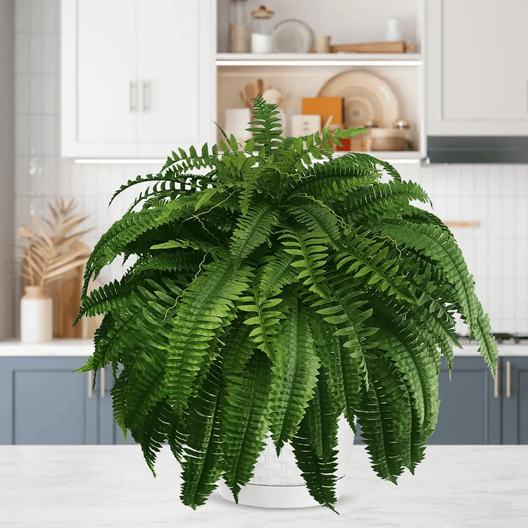 Realistic Faux Ferns for Effortless Indoor and Outdoor Style