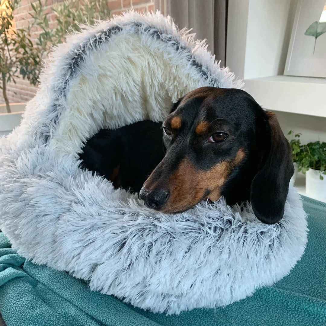 Cozy Retreat Plush Dog Bed for Ultimate Comfort