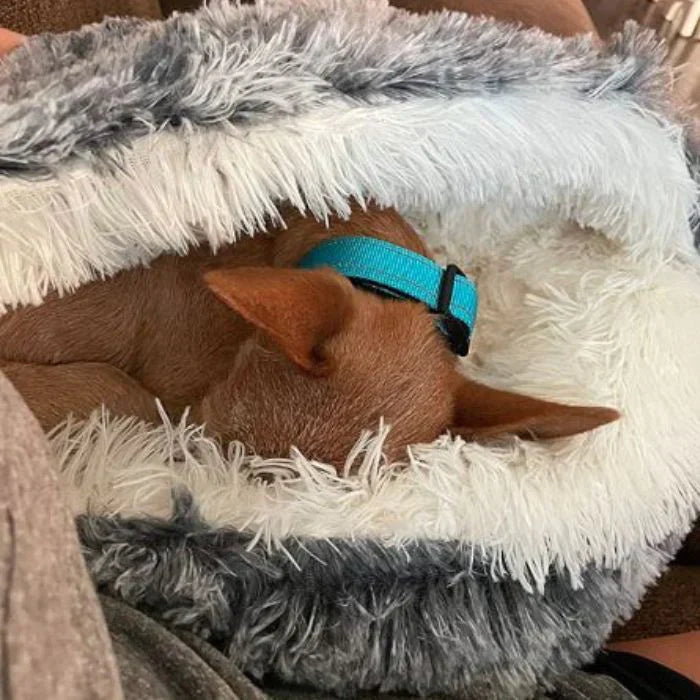 Cozy Retreat Plush Dog Bed for Ultimate Comfort