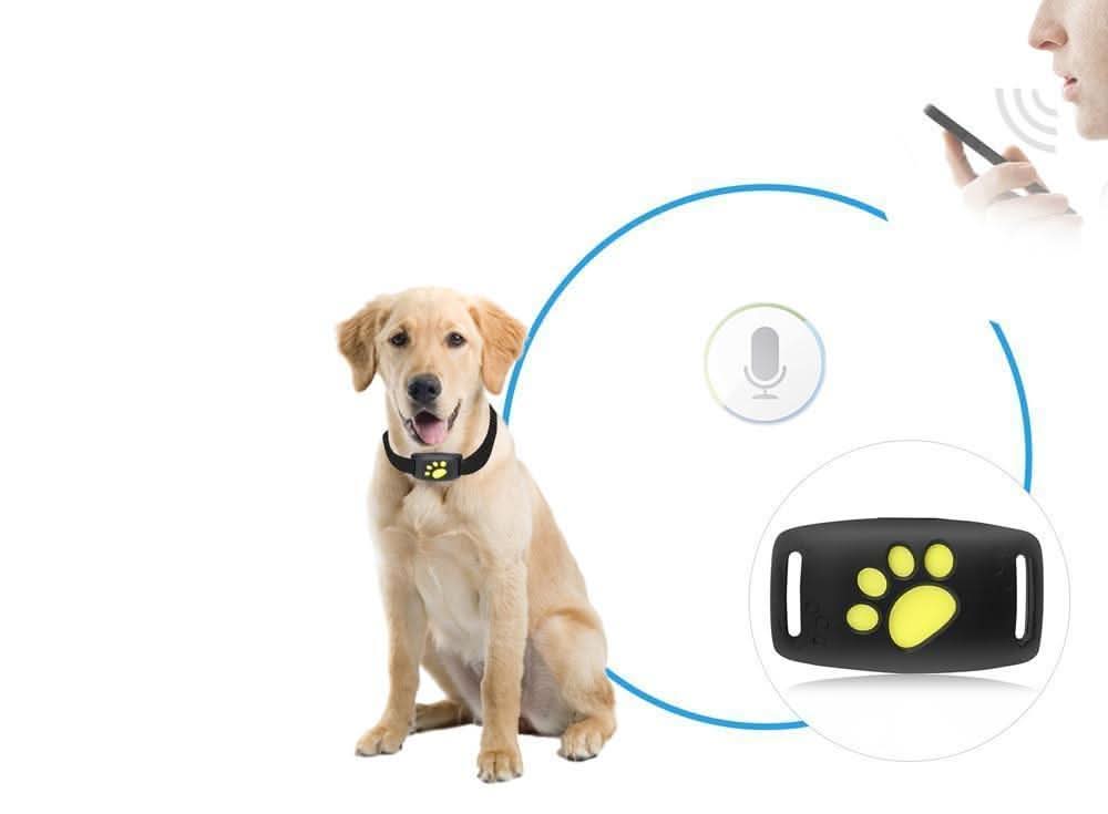 GPS Cat Collar Tracker for Real-Time Location Monitoring and Safety