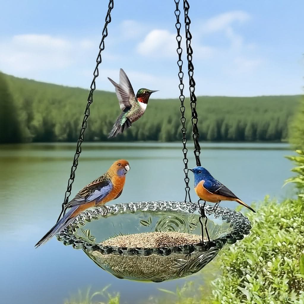 Outdoor Bird Watching Double Bowl Feeder – Hanging Design
