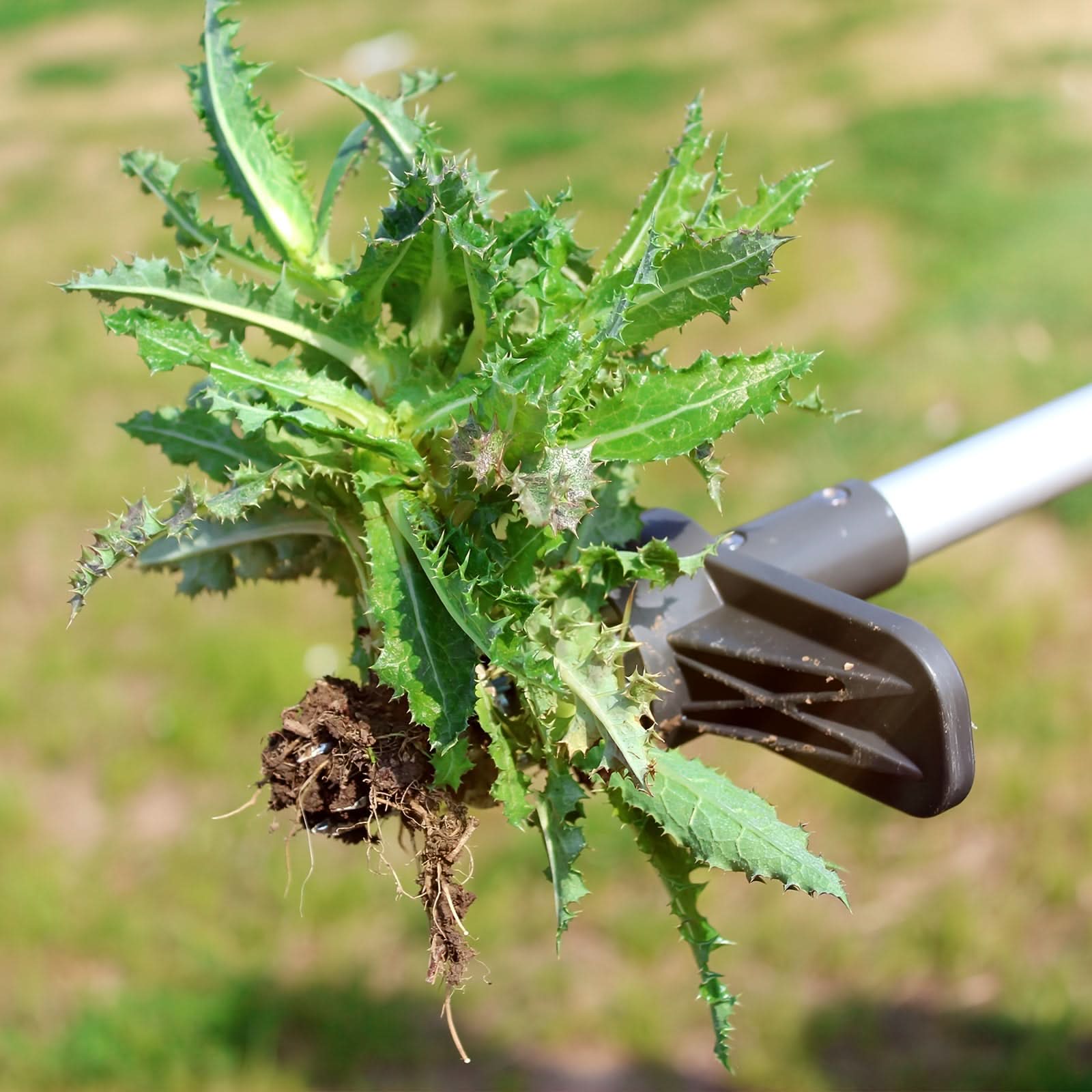 Garden Maintenance Tool - Stand-Up Weeder for Easy and Clean Weeding