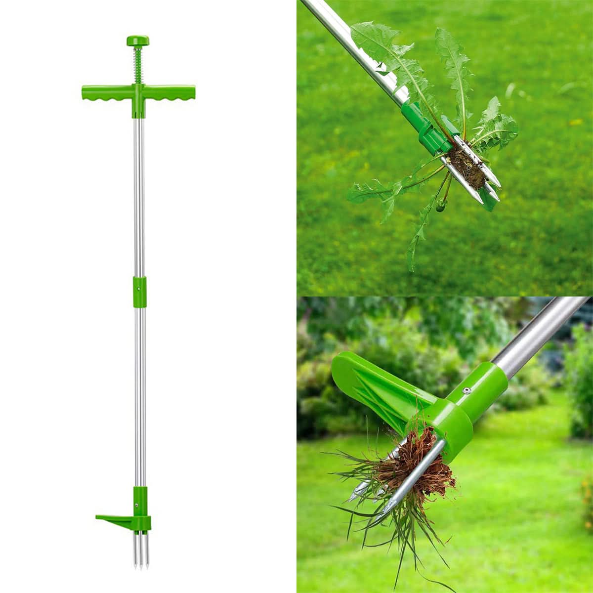 Stand-Up Weed Remover for Effortless and Clean Garden Care