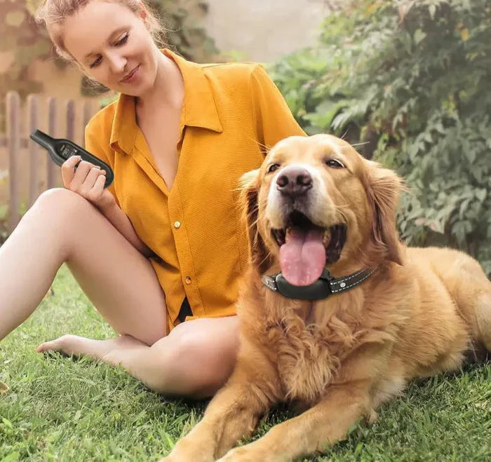 Smart Dog Training Collar with 1000m Range & Custom Modes