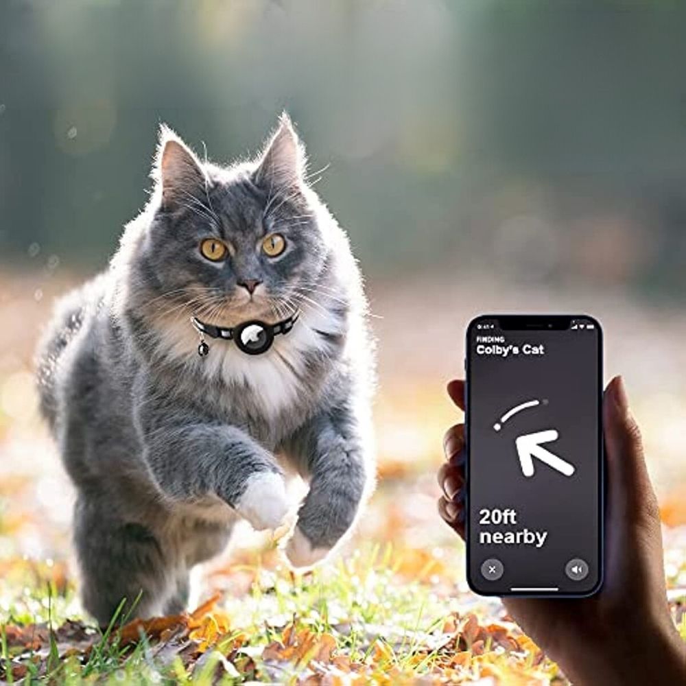 Pawsitive Explorer Cat Collar with Safety Release & Reflective Design