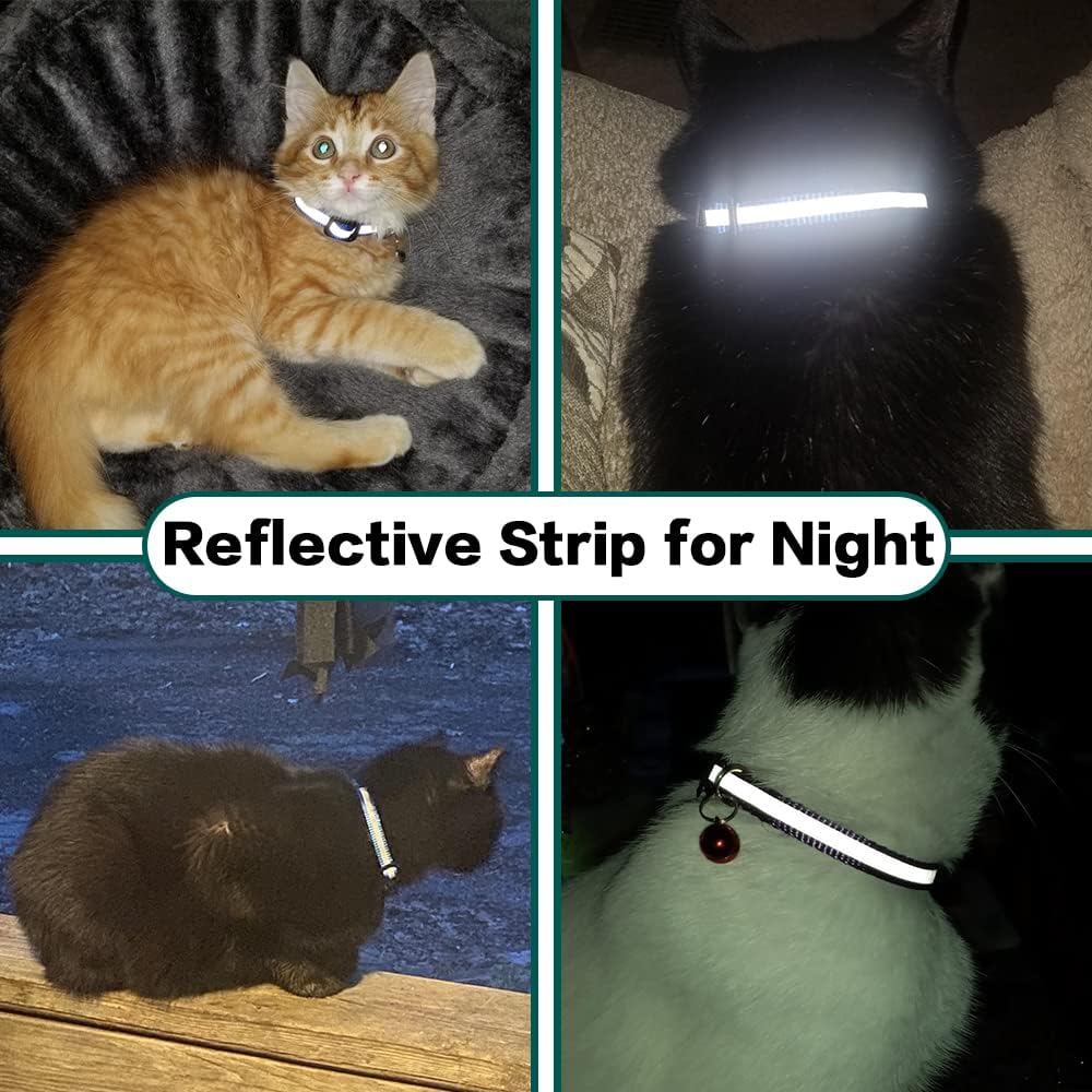 Pawsitive Explorer Cat Collar with Safety Release & Reflective Design