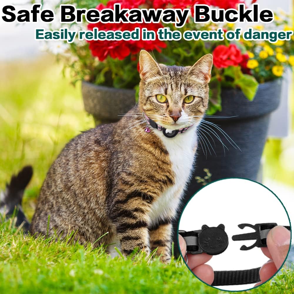 Pawsitive Explorer Cat Collar with Safety Release & Reflective Design