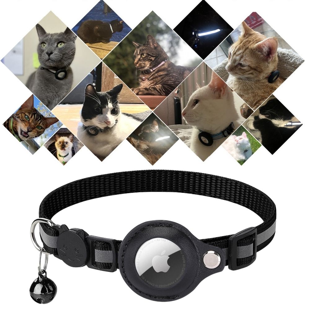 Pawsitive Explorer Cat Collar with Safety Release & Reflective Design