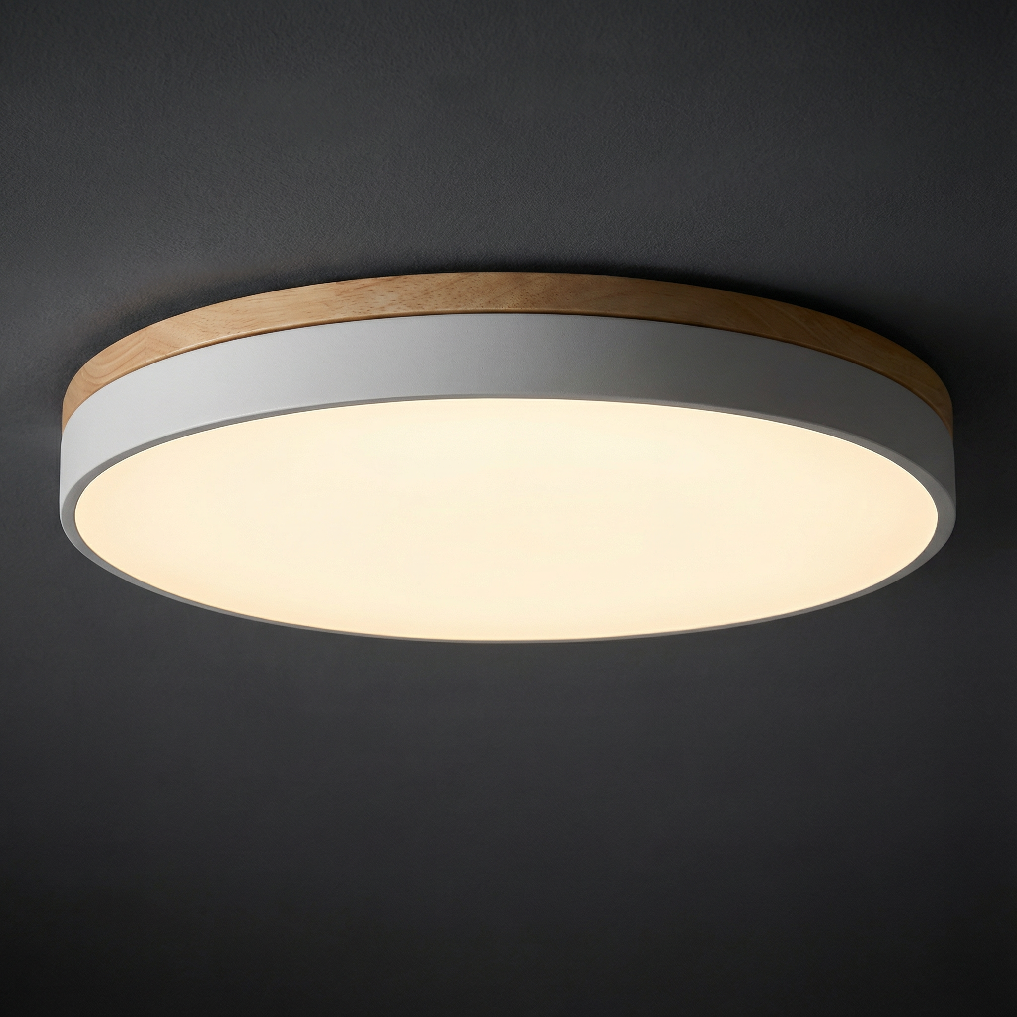 Contemporary Flush Mount LED Ceiling Light Fixture with Dimming Feature