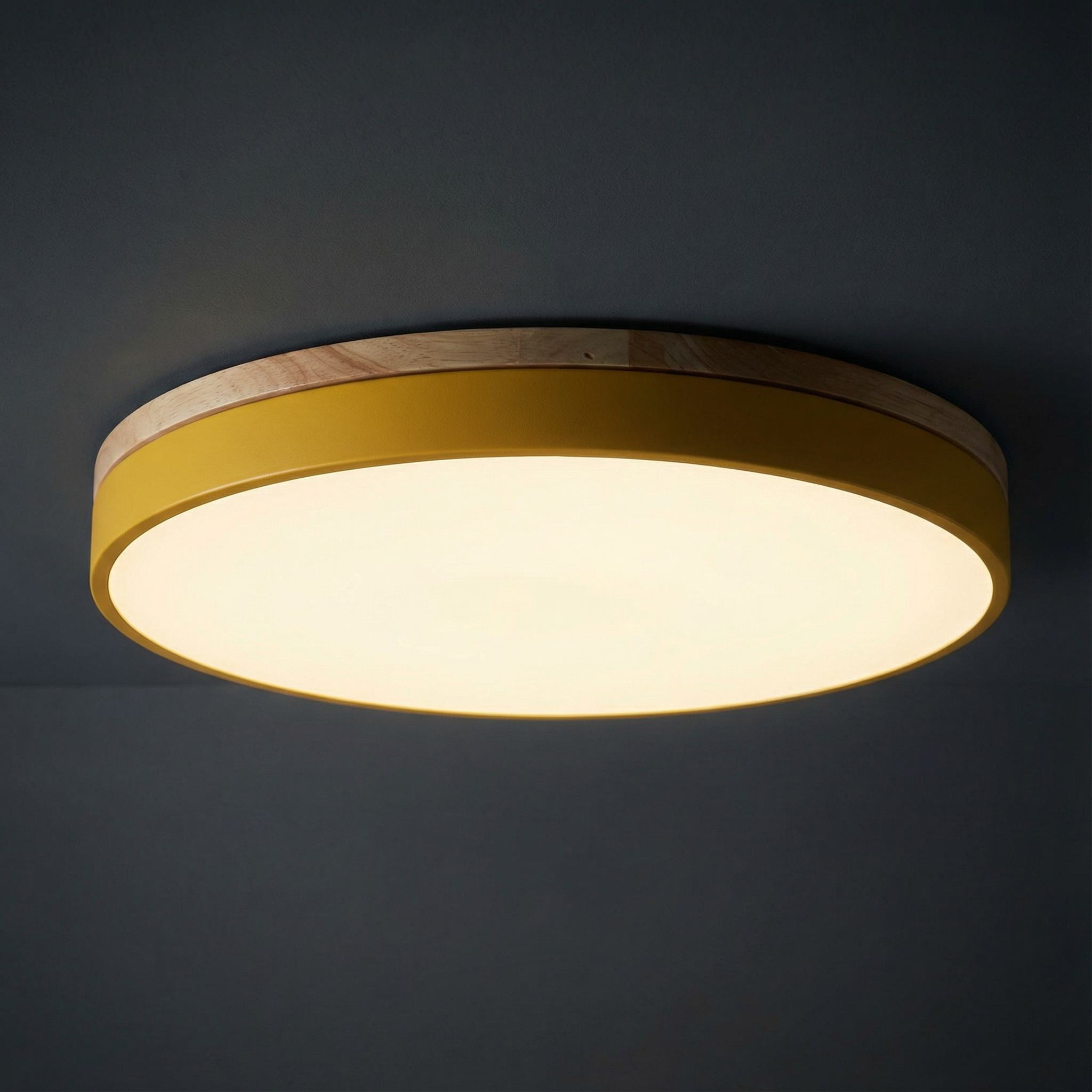 Contemporary Flush Mount LED Ceiling Light Fixture with Dimming Feature